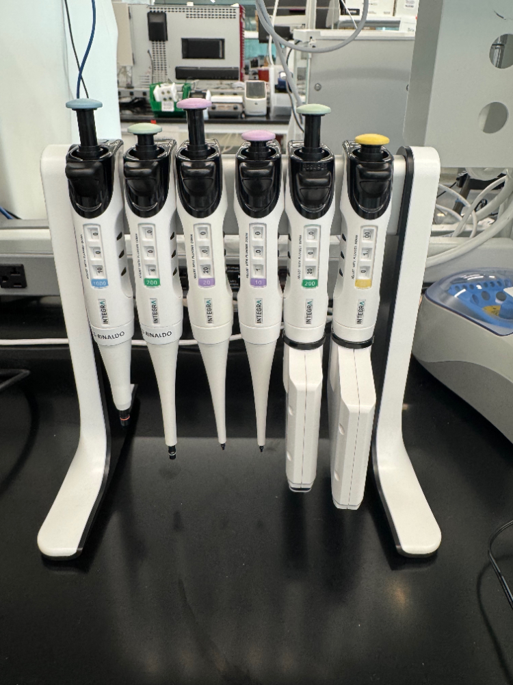 Image of Integra Pipettes - Quantity 6